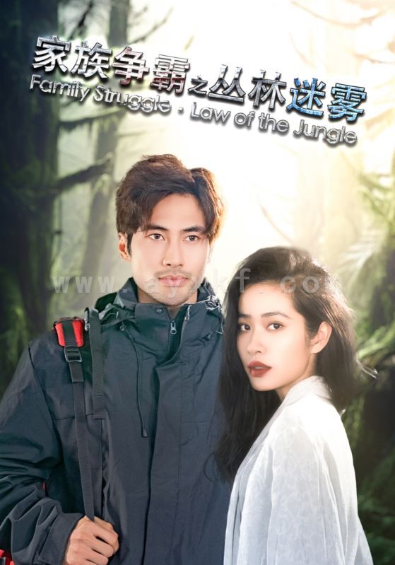 15500-家族争霸之丛林迷雾(55集) 最新 图1张