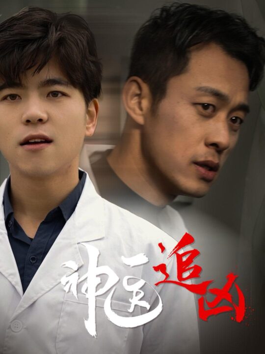 15118-神医追凶(80集)