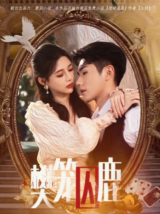 14511-樊笼囚鹿&偏执大佬的金丝雀(60集)