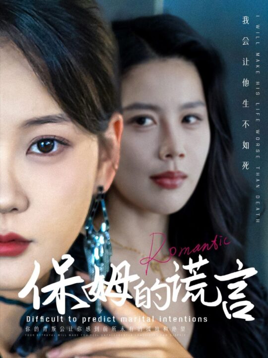 15264-保姆的谎言(74集)