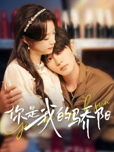 15406-你是我的骄阳(100集)王小亿&陈云廷