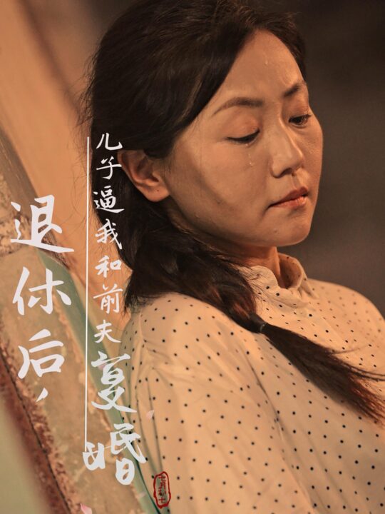 14696-退休后儿子逼我和前夫复婚(30集)