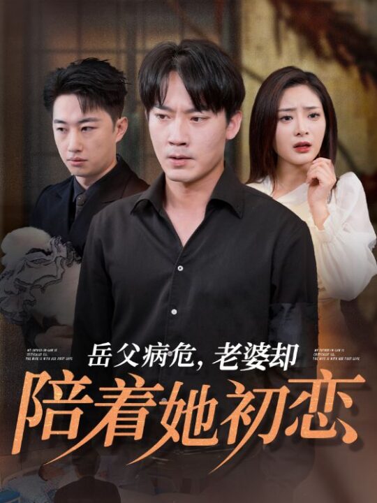 14504-岳父病危老婆却陪着她初恋(31集)