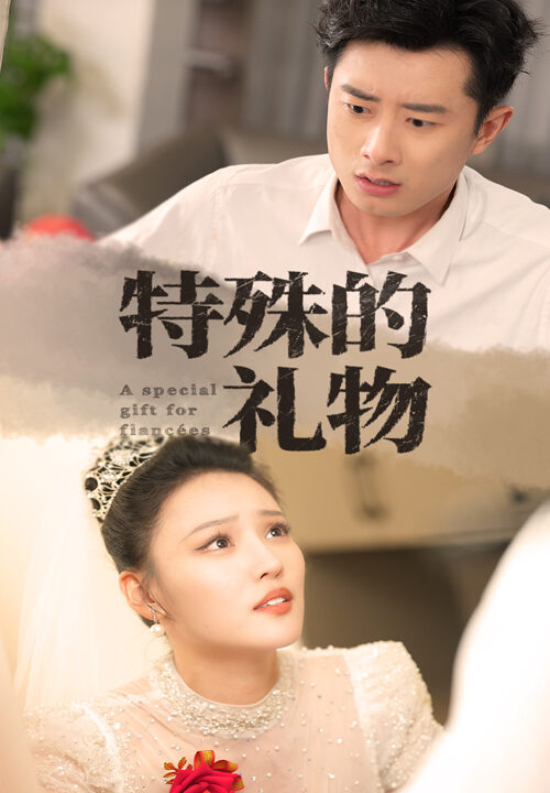 15237-特殊的礼物(35集)