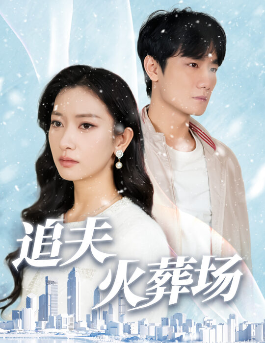 15009-追夫火葬场(31集)