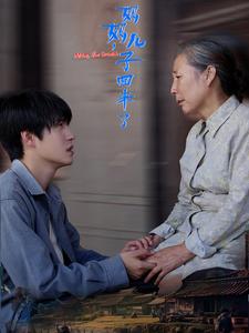 14529–妈妈儿子回来了(65集)