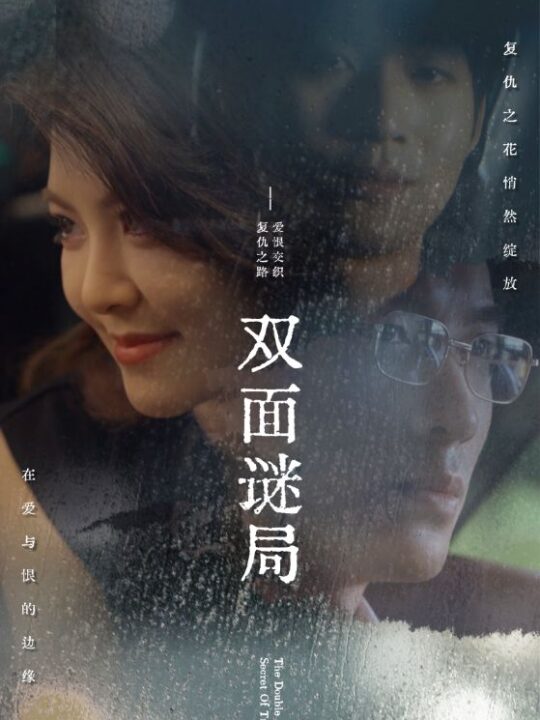 14044-双面谜局(44集)