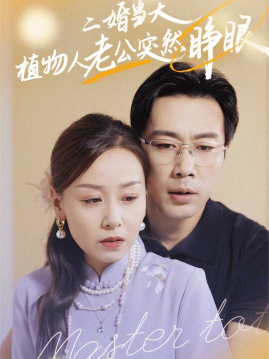 13490-二婚当天植物人老公突然睁眼(40集)