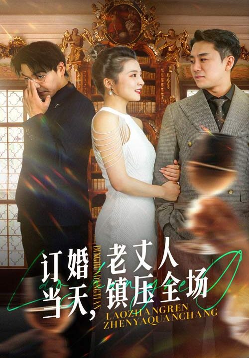 13895-订婚当天-老丈人镇压全场(29集)