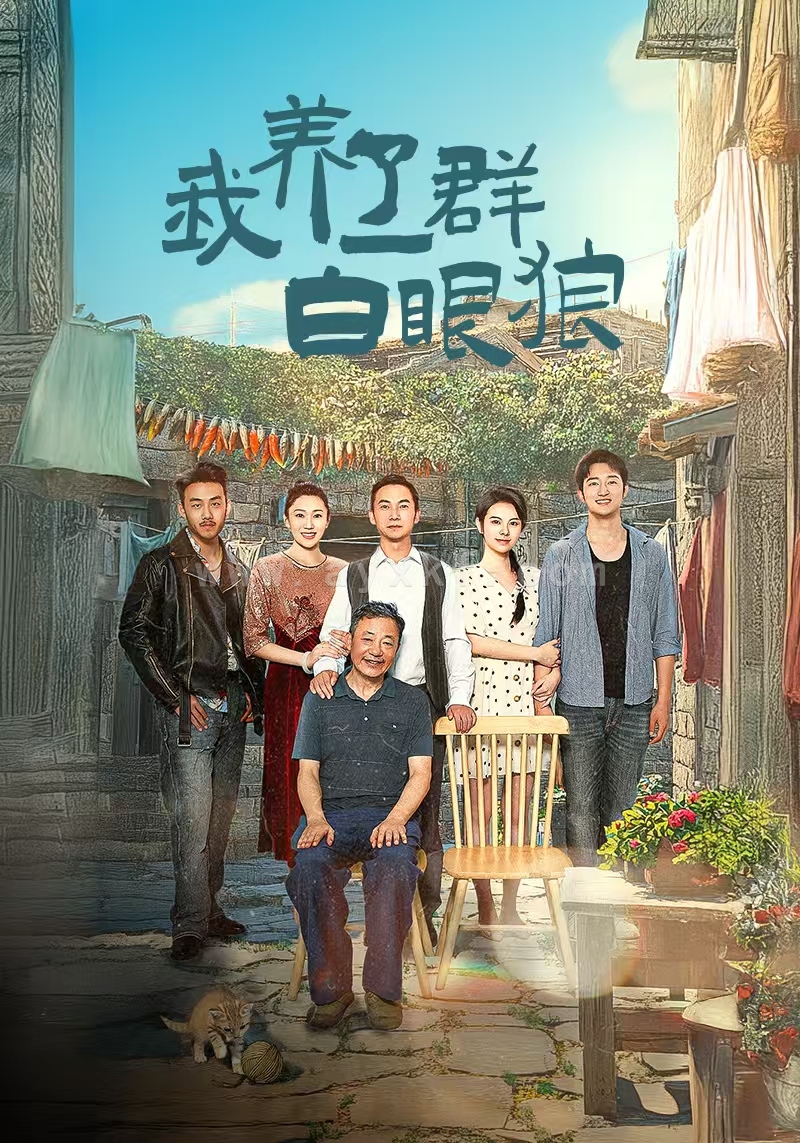 14308-我养了一群白眼狼&家家有本难念的经(34集) 最新 图1张