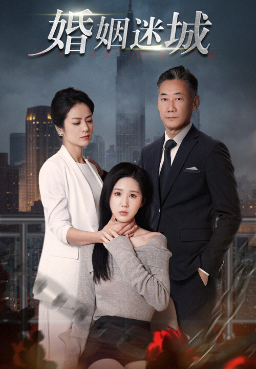 14223-新-婚姻迷城(60集)