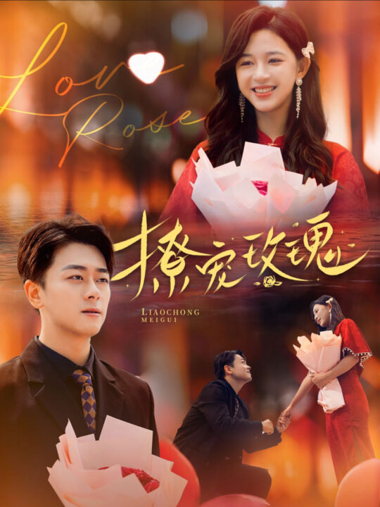 14255-撩宠玫瑰(99集)韩录锦