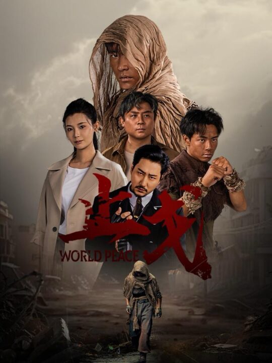 13723-止戈(65集)王星辰