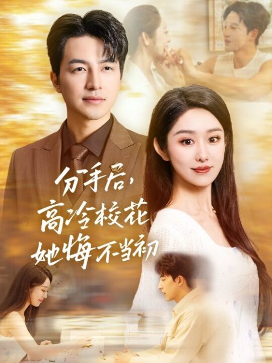 13990-分手后高冷校花她悔不当初(43集)戴琪轩