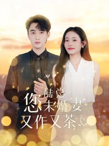 13486-陆总您未婚妻又作又茶(100集)
