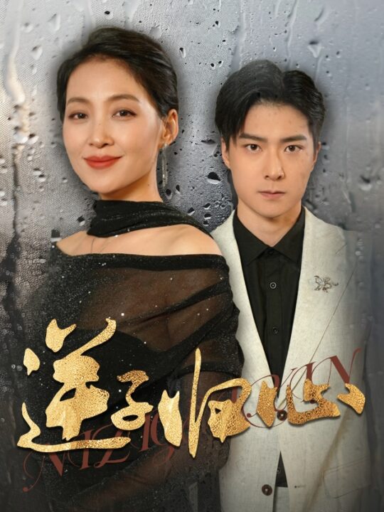 14446-逆子归心(31集)