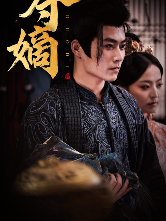 13501-新-双姝&夺嫡(36集)