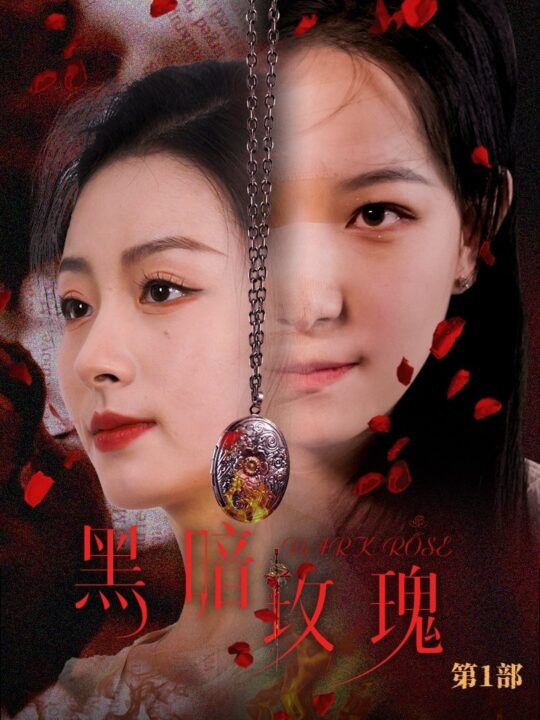 14257-黑暗玫瑰(84集)王艺阳