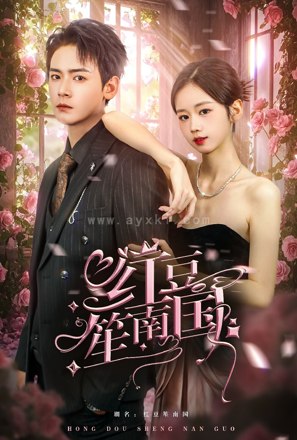 14239-红豆笙南国(64集)曾乙同 最新 图1张