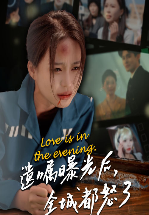 13651-遗嘱曝光后-全城都怒了(36集)