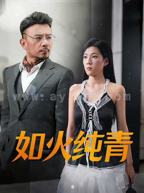 13648-如火纯青(45集)