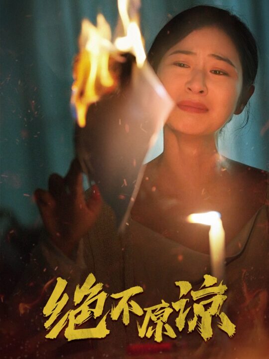 13752-绝不原谅(43集)