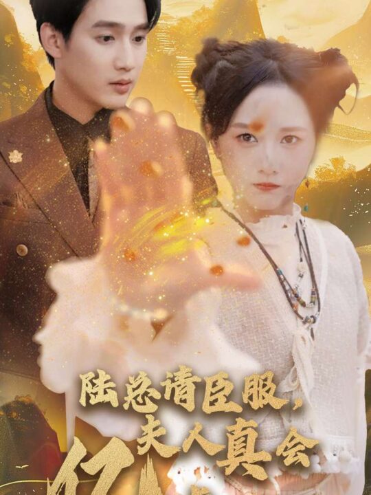 14248-陆总请臣服夫人真会亿点法术(60集)