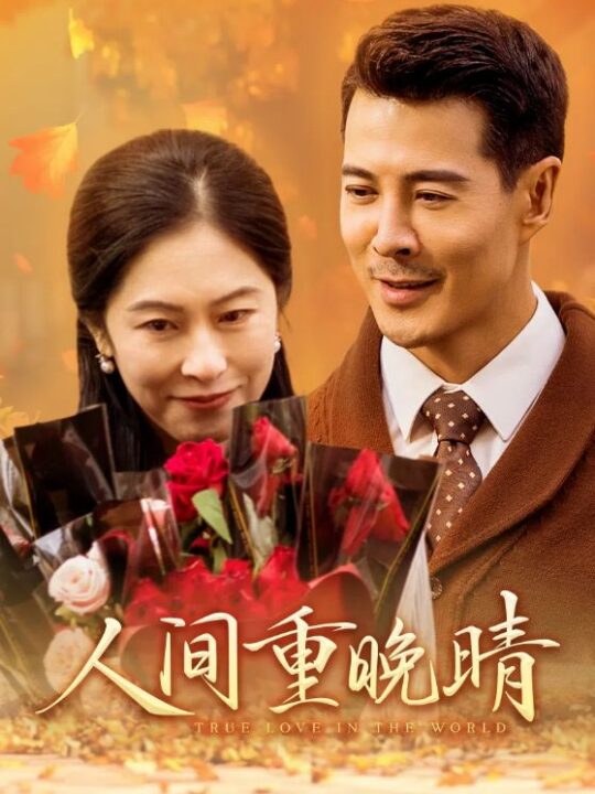 14116-人间重晚情(38集)