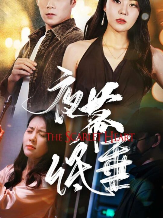 14365-夜幕低垂(37集)