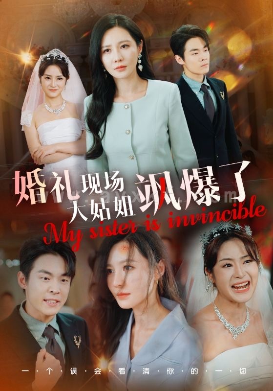 13863-婚礼现场大姑姐飒爆了(28集)朱哲人 最新 图1张