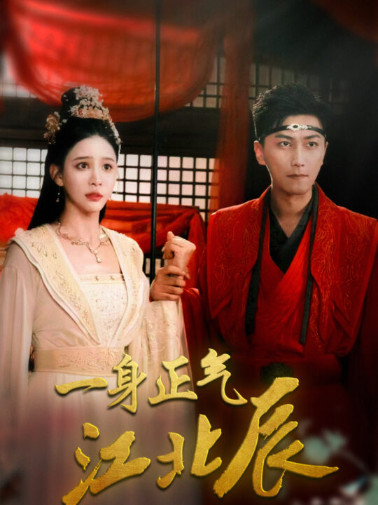 13733-一身正气江北辰(72集)李云鹏&许子吟