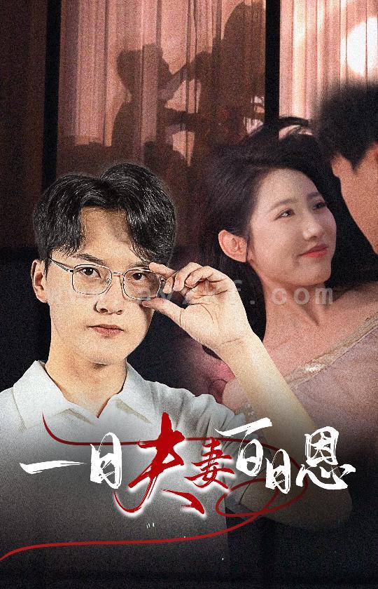 13585-一日夫妻百日恩(30集) 内容图1 一个实时收录全网最齐全的短视频短剧网剧小剧场的网站! 13585-一日夫妻百日恩(30集) 最新 图1张