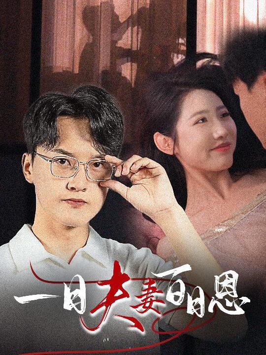 13585-一日夫妻百日恩(30集)