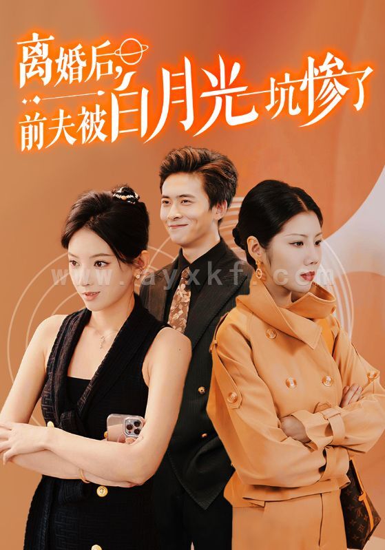 13660-离婚后前夫被白月光坑惨了(60集) 内容图1 一个实时收录全网最齐全的短视频短剧网剧小剧场的网站! 13660-离婚后前夫被白月光坑惨了(60集) 最新 图1张