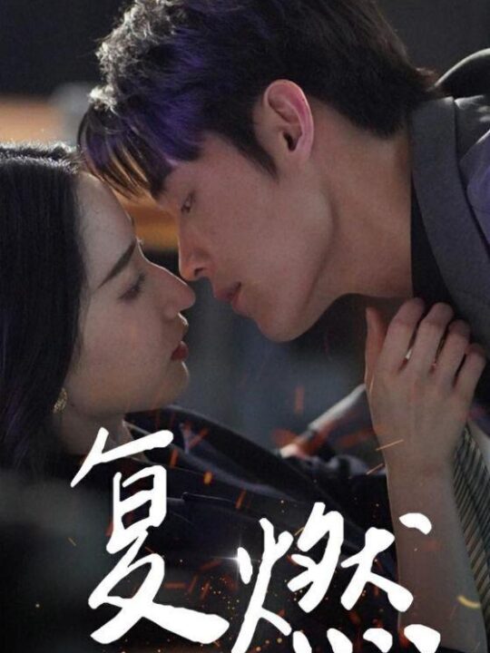 13958-复燃(68集)朱哲人