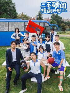 13850-二毛硬闯短剧世界(40集)