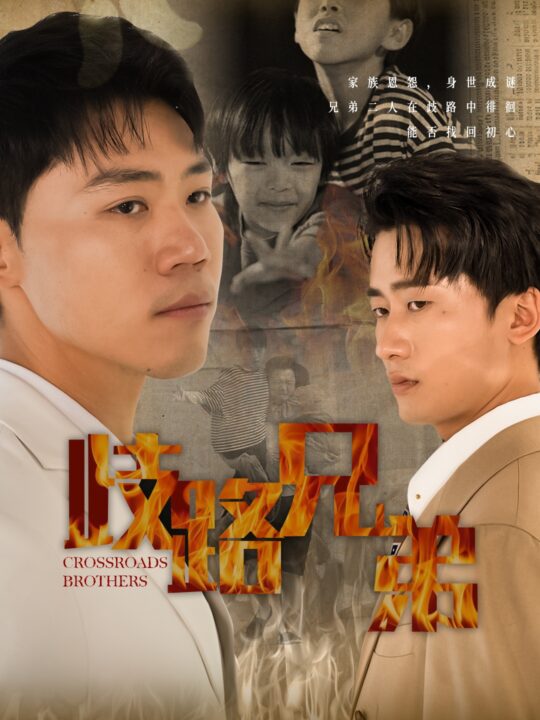 14476-歧路兄弟(63集)