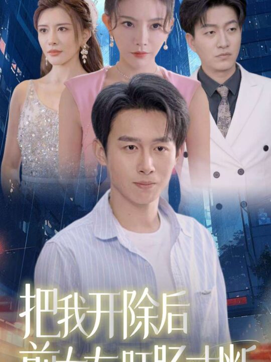 13643-把我开除后前女友肝肠寸断(80集)严浩