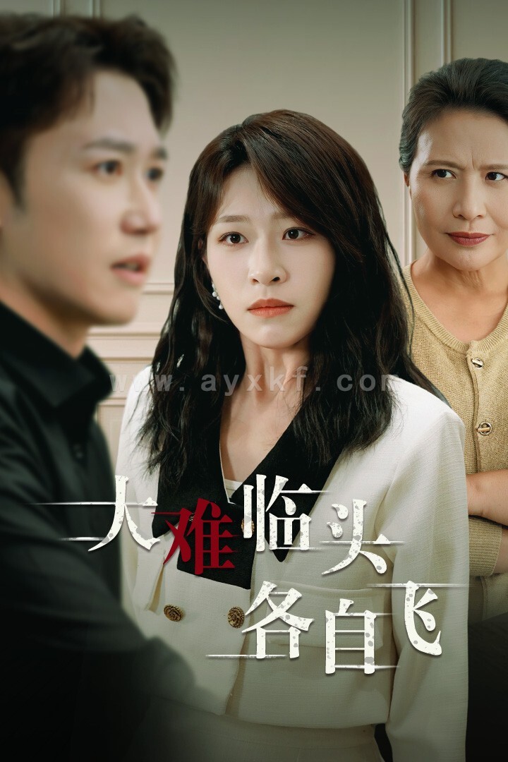 13532-新-大难临头各自飞(53集) 最新 图1张