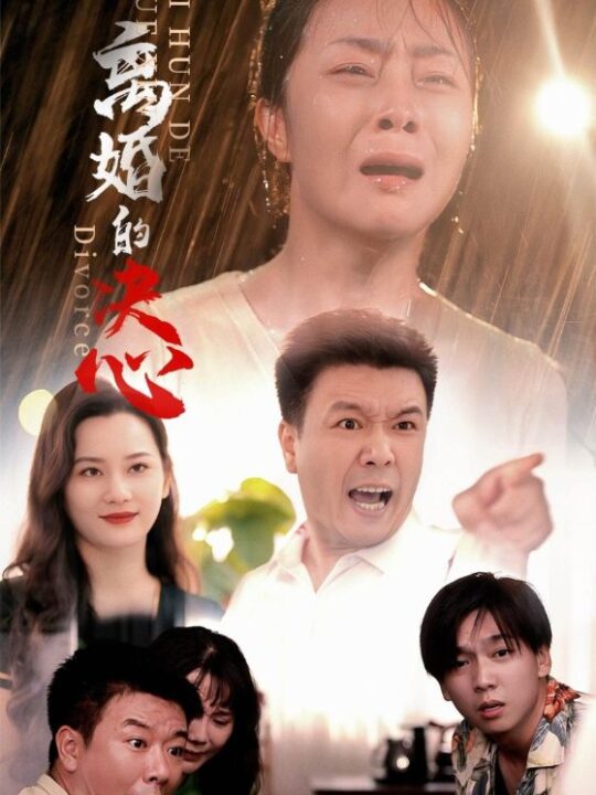 13548-离婚的决心(48集)