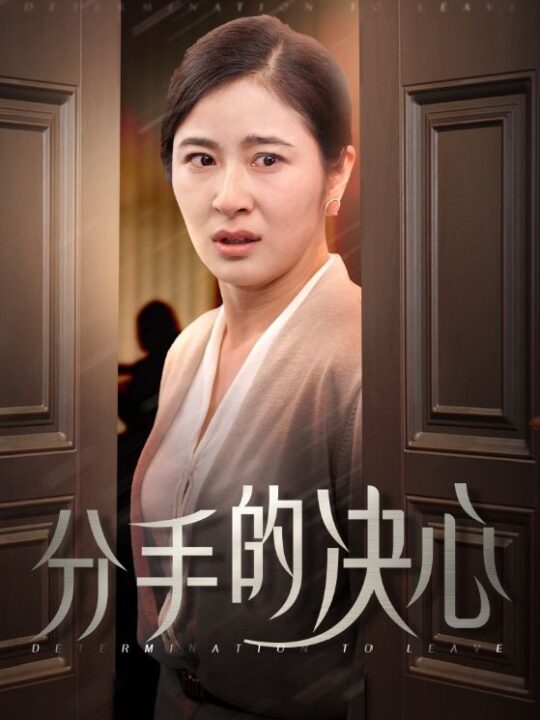 14277-分手的决心(39集)