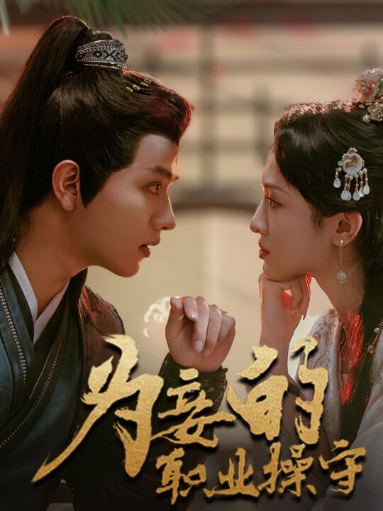 14108-为妾的职业操守(85集)王宇威