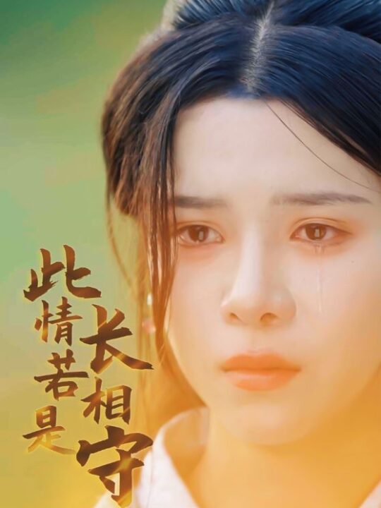 13534-此情若是长相守(55集)