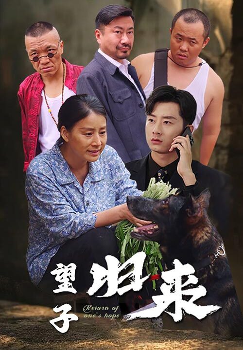 13837-望子归来(50集)