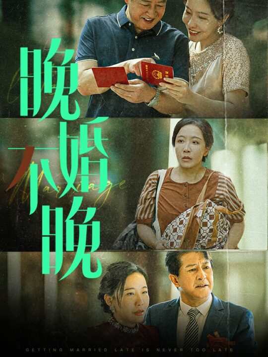 13708-晚婚不晚(30集)