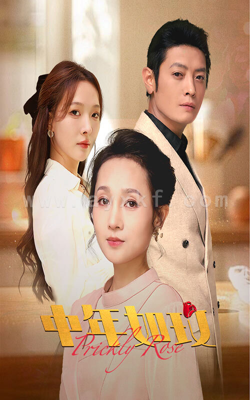 14292-中年如玫(68集) 最新 图1张