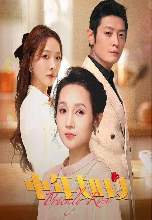 14292-中年如玫(68集)