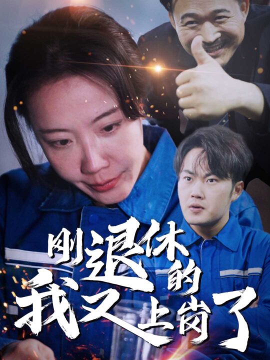 14326-刚退休的我又上岗了(30集)