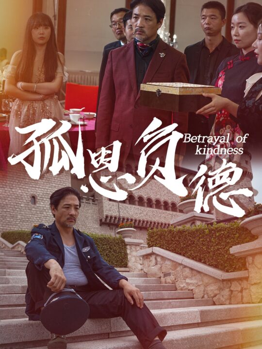 13869-孤恩负德(60集)