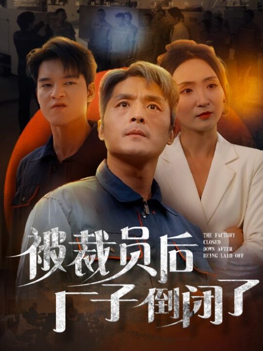 14078-被裁员后厂子倒闭了(60集)